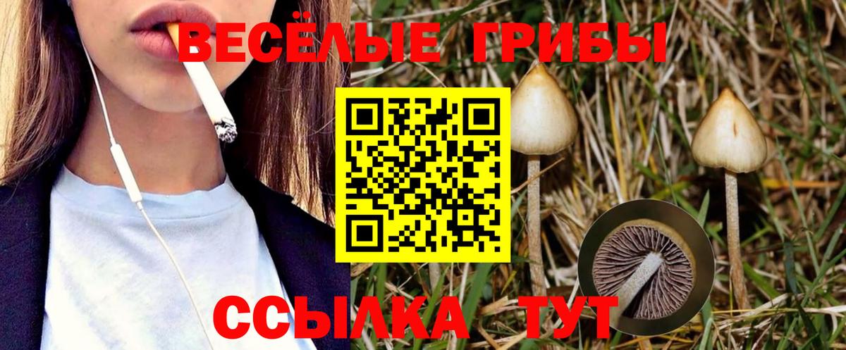 Псилоцибиновые грибы Magic Shrooms Орск